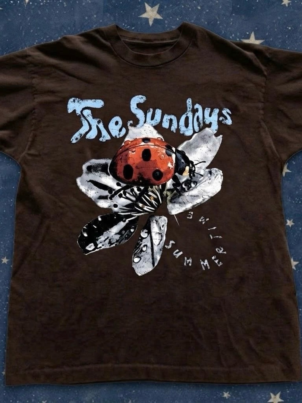 Gildan Brown Short Sleeve Tee with Red Ladybug Graphic